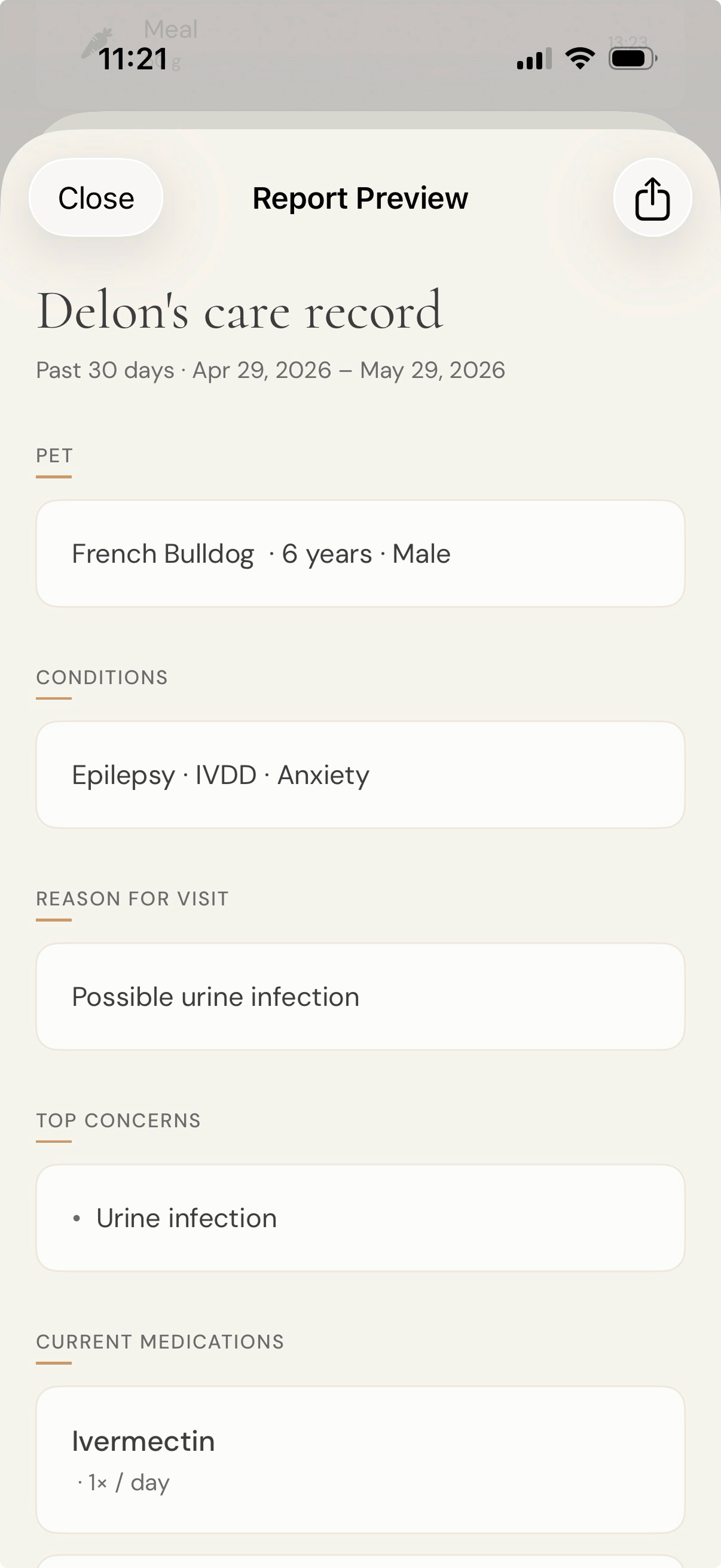 Bond vet report PDF preview with care record, medications, and incidents
